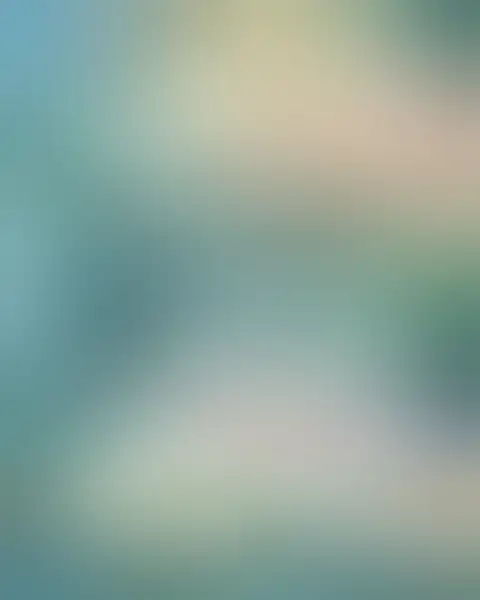 Blurred preview of a real before & after case